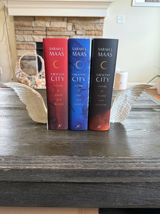 Angel Wing Bookends | Crescent City Inspired | Hunt Athalar Wings| 3D Printed Book Nook Decor | Fantasy Shelf Decor | Sarah J. Maas Fan Gift