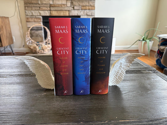 Angel Wing Bookends | Crescent City Inspired | Hunt Athalar Wings| 3D Printed Book Nook Decor | Fantasy Shelf Decor | Sarah J. Maas Fan Gift